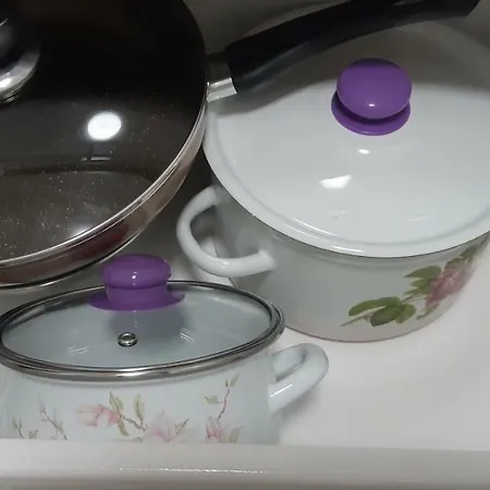 Διαμέρισμα Transfer і.franka 59 Λβιβ